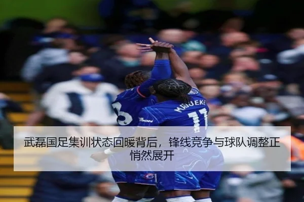 武磊国足集训状态回暖背后，锋线竞争与球队调整正悄然展开 | qiuwanghui